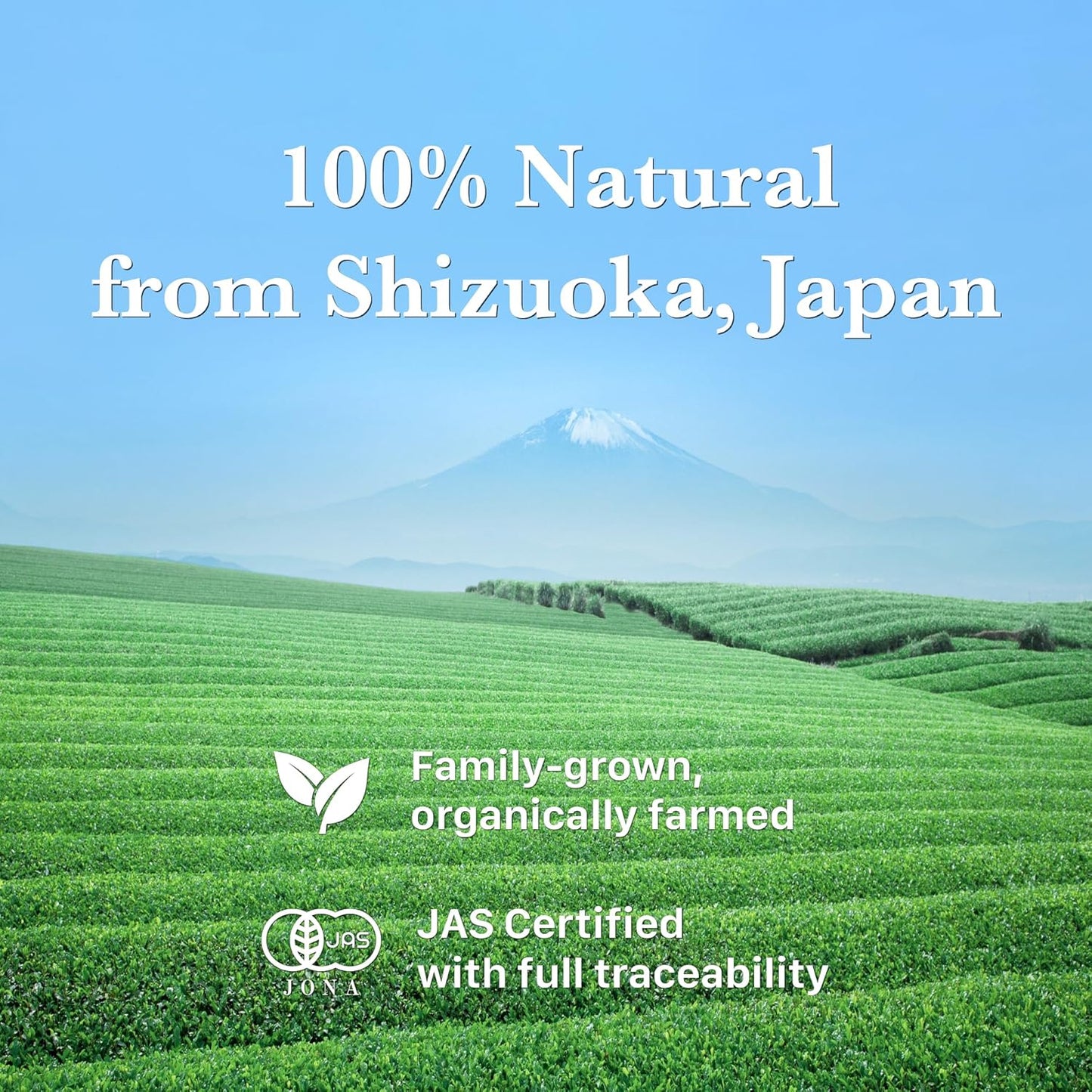 HAYASHIYA Organic Matcha Powder - Daichi - Ceremonial Grade, Authentic Japanese Matcha Green Tea Powder (30g / 1.06oz)