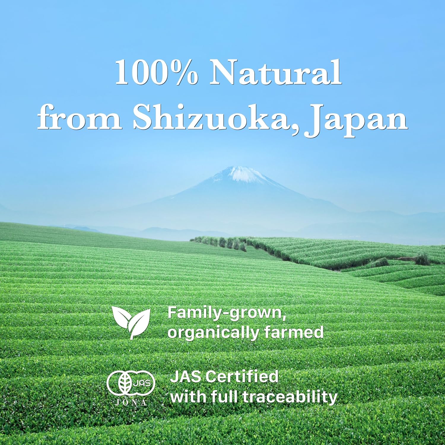 HAYASHIYA Organic Matcha Powder - Daichi - Ceremonial Grade, Authentic Japanese Matcha Green Tea Powder (30g / 1.06oz)