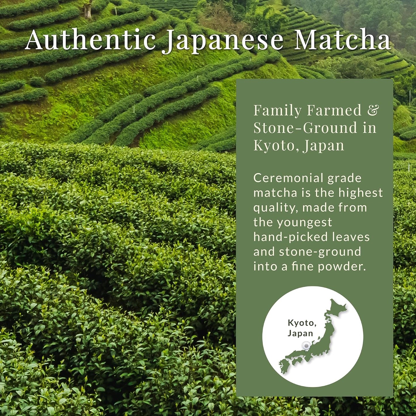 Matcha Sunday Ceremonial Grade Matcha - Kyoto, Japan - Finely Ground Green Tea Powder - Vibrant Green (50g/ 1.75oz) - Bag
