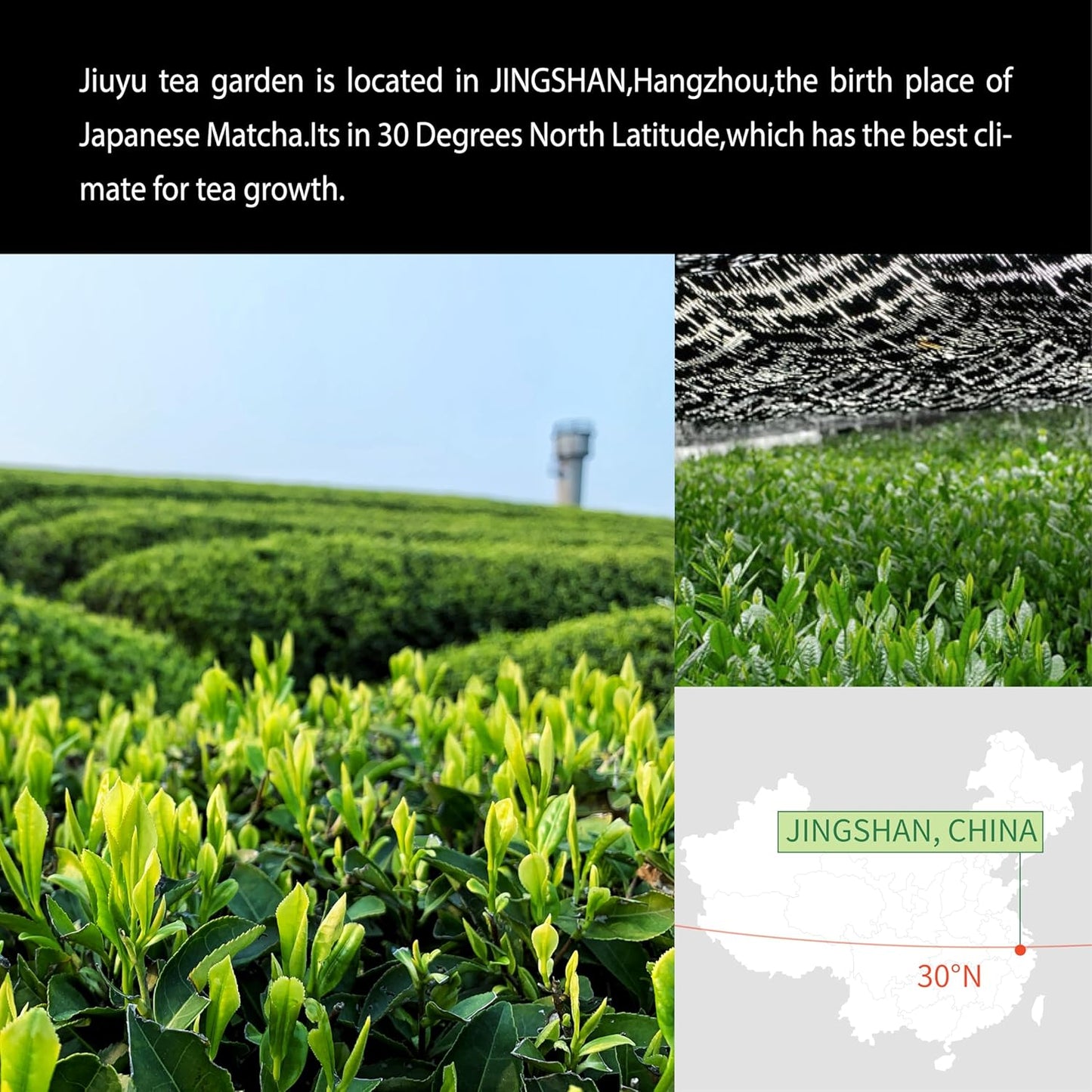 Organic Matcha Green Tea Powder First Harvest Ceremonial Grade 100% Pure Premium Matcha for Drinking and Latte No Additives 3.53oz(100g) Jiuyu