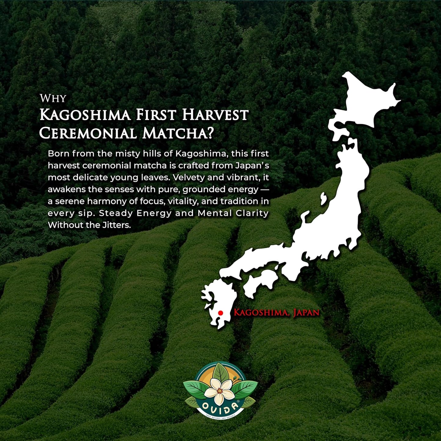 Premium Kimikura Kagoshima Matcha from Japan – Ceremonial Grade, USDA Organic, First Harvest Japanese Green Tea Powder, Stone Ground, Perfect for Starbucks Latte, Shake &amp; Baking (127g / 4.5 oz)