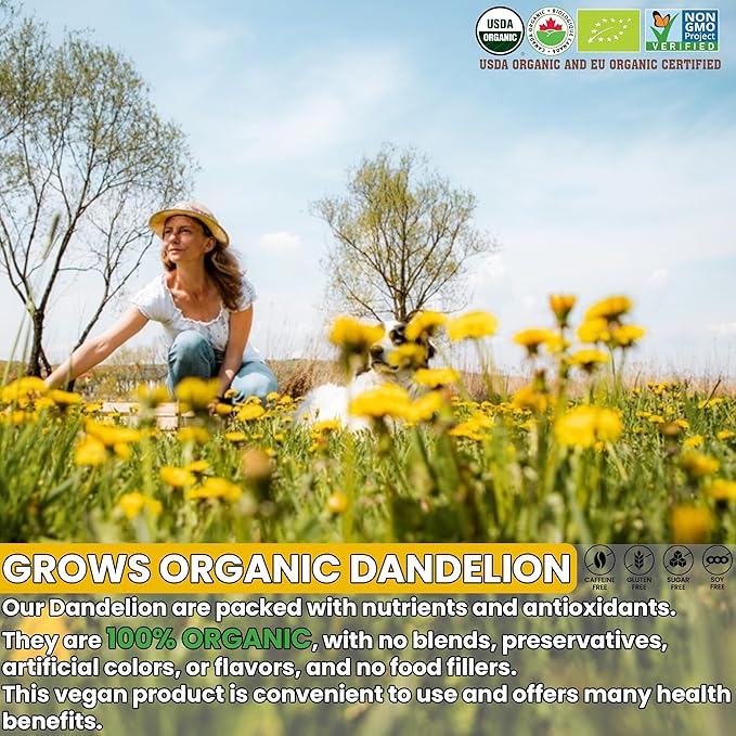 USDA Organic Dandelion Root Tea Bags , Roasted Coffee Substitute & Liver Kidney Cleanse Tea, Digestion & Bloating Relief Support, 100% Organic & Pure Dandelion Root, Non-GMO, Caffeine Free, 120 teabags Eco-Conscious Corn Fiber