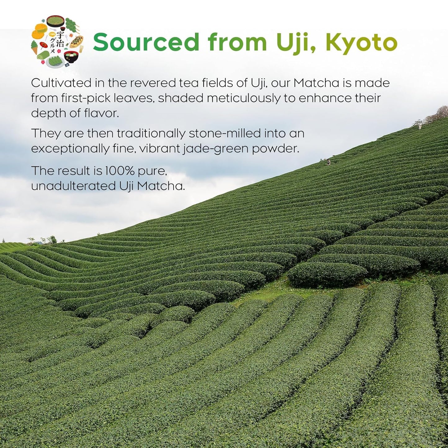 Peralpow Ceremonial Grade Matcha – Authentic Japanese First Harvest Ceremonial Blend Green Tea Powder from Uji, Kyoto (70g / 2.47oz)
