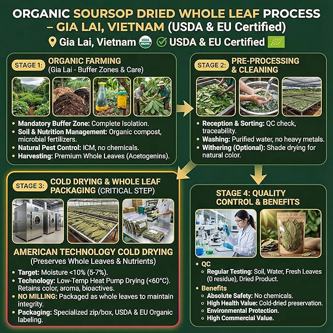 Keyxe Soursop Dried Leaves Tea USDA Organic Certified & Non GMO Verified, Caffeine Free, No Gluten, Vegan, 270-300 Whole Dried Soursop Leaves