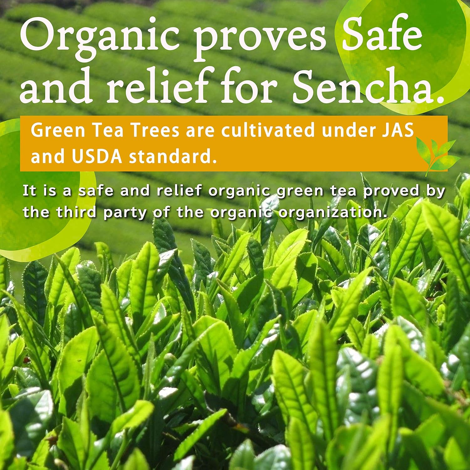 Organic Green tea Powder, Instant Sencha Powder, Konacha, Sushicha, Japanese Tea, 80g Bag 【YAMASAN】