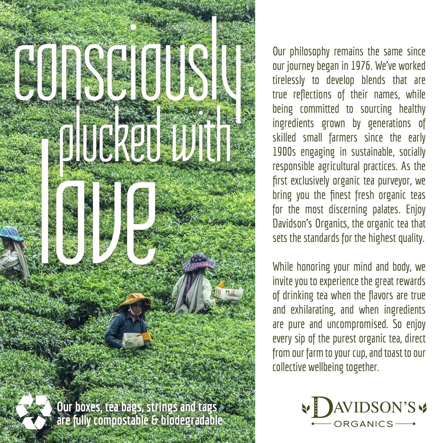 Davidson's Organics, Lapsang Souchong Black, Loose Leaf Tea, 16-Ounce Bag