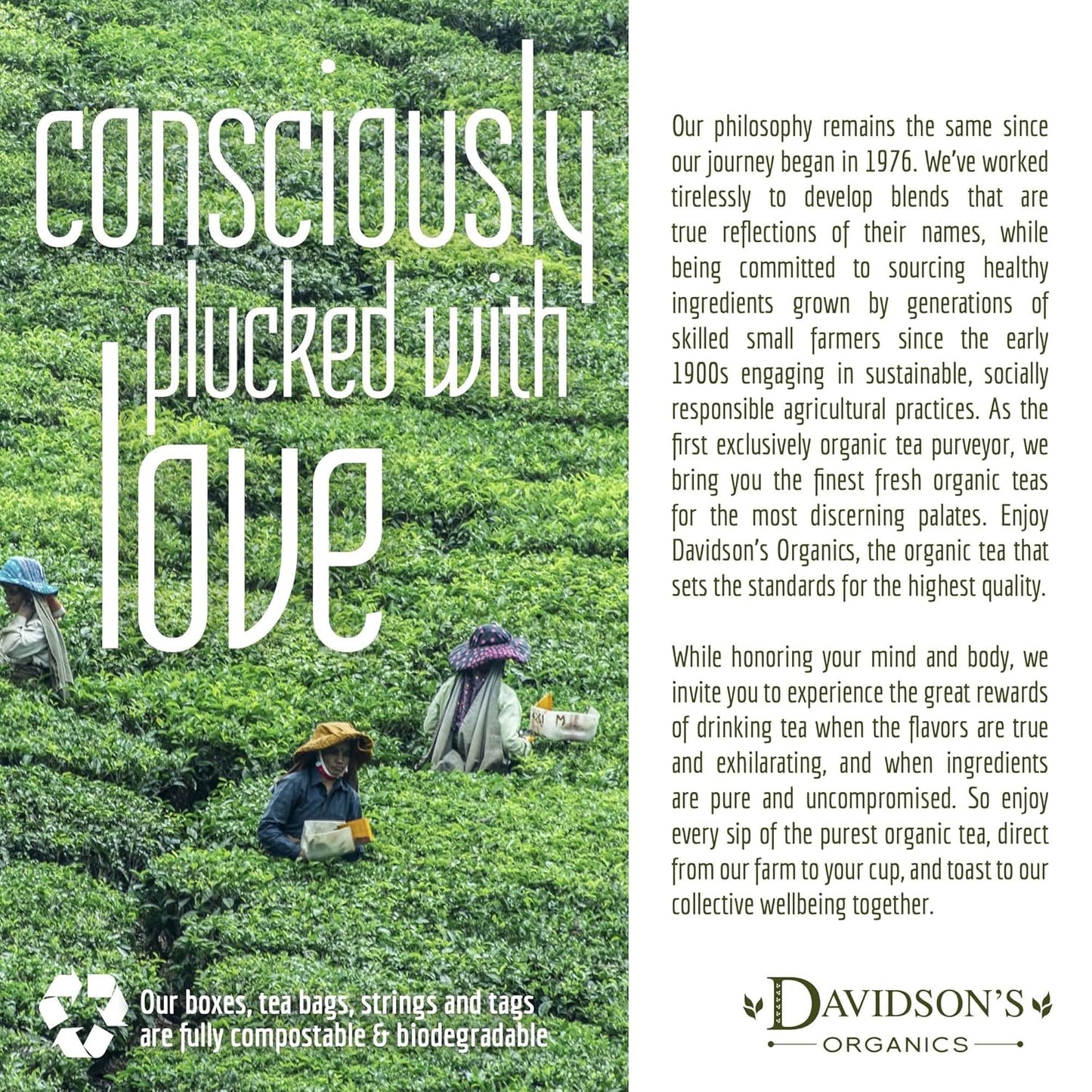 Davidson's Organics, Matcha Green Powder, Loose Leaf Tea, 16-Ounce Bag