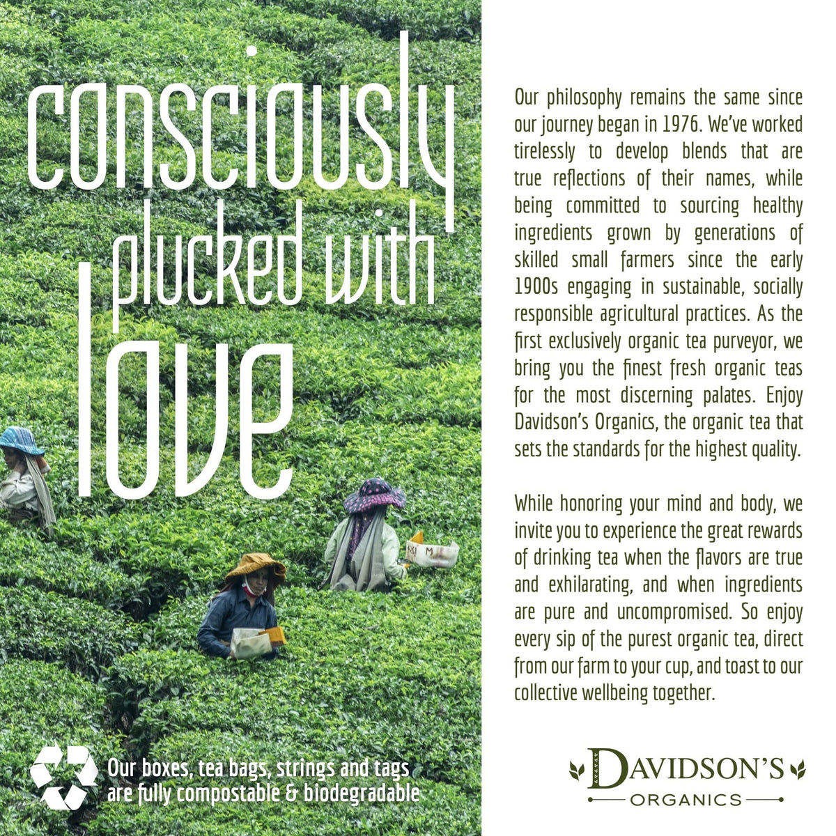 Davidson's Tea Bulk, French Vanilla Essence, 16-Ounce Bag