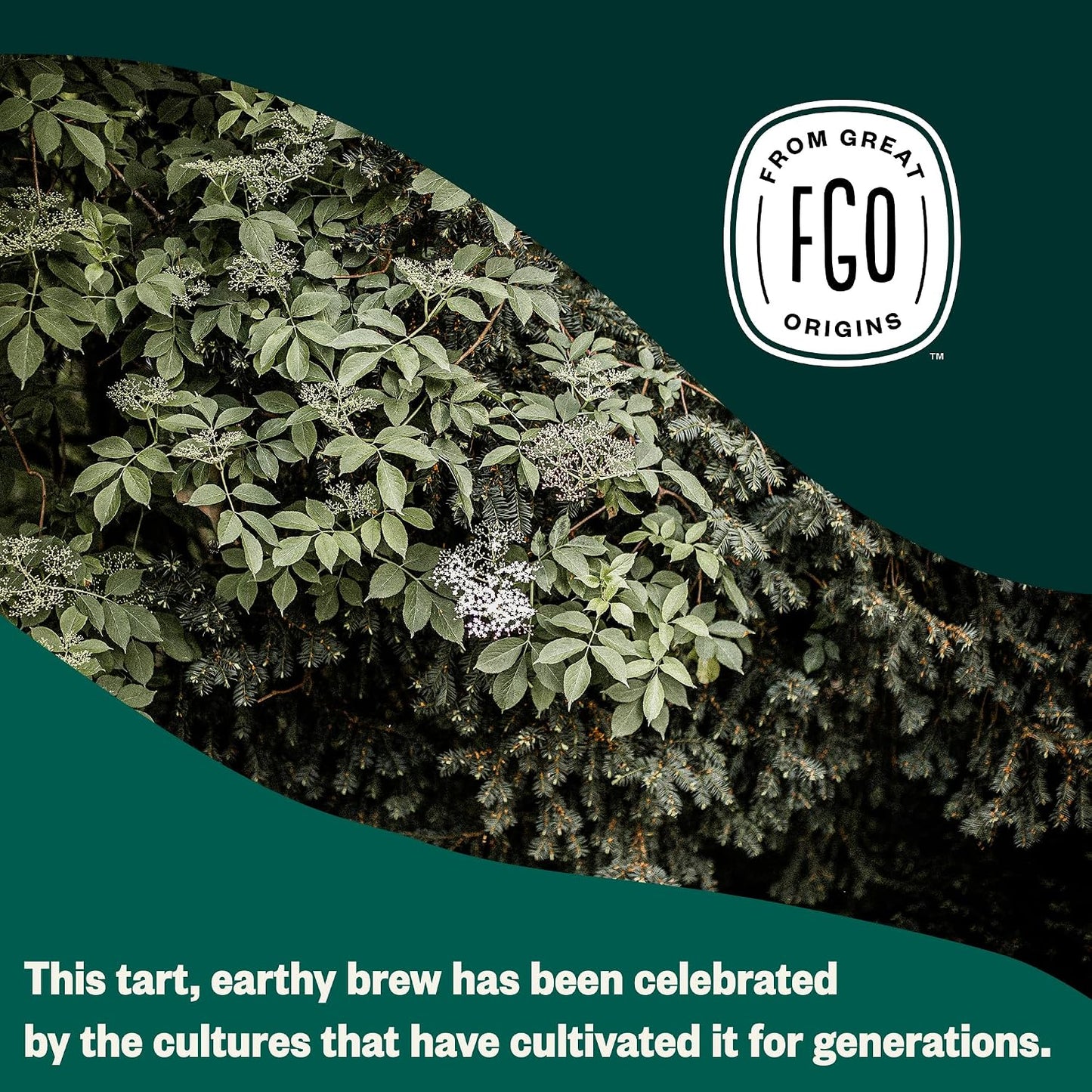 FGO Organic Elderberry Tea, 100 Count, Eco-Conscious Tea Bags, Resealable Bag, Packaging May Vary (Pack of 1)