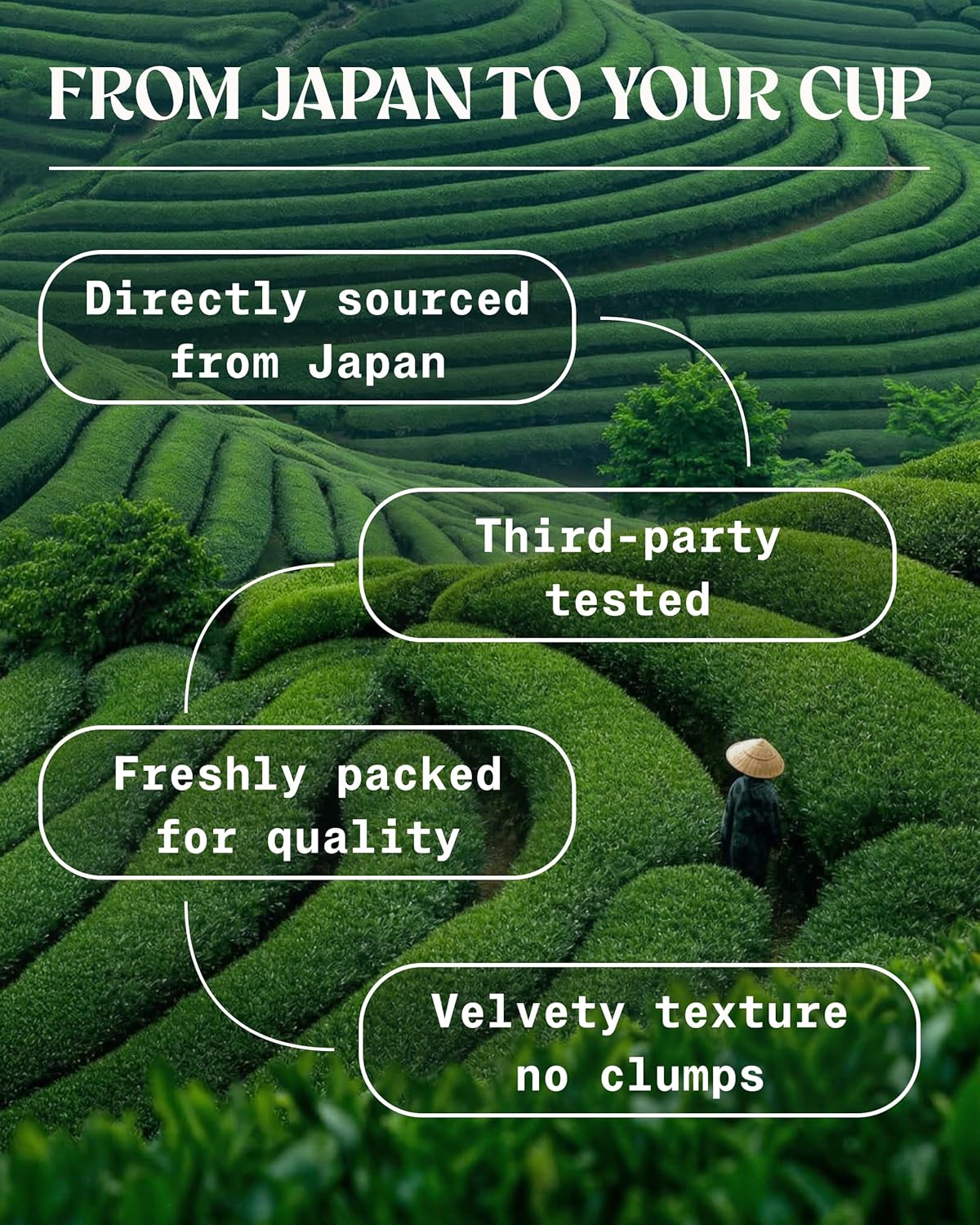 NaturaleBio Matcha Green Tea Powder. Ceremonial Grade Organic, 3.5 oz. From Uji, Kyoto for Traditional Japanese Tea Ceremony. Matcha Powder Free of Added Sugars and Preservatives.