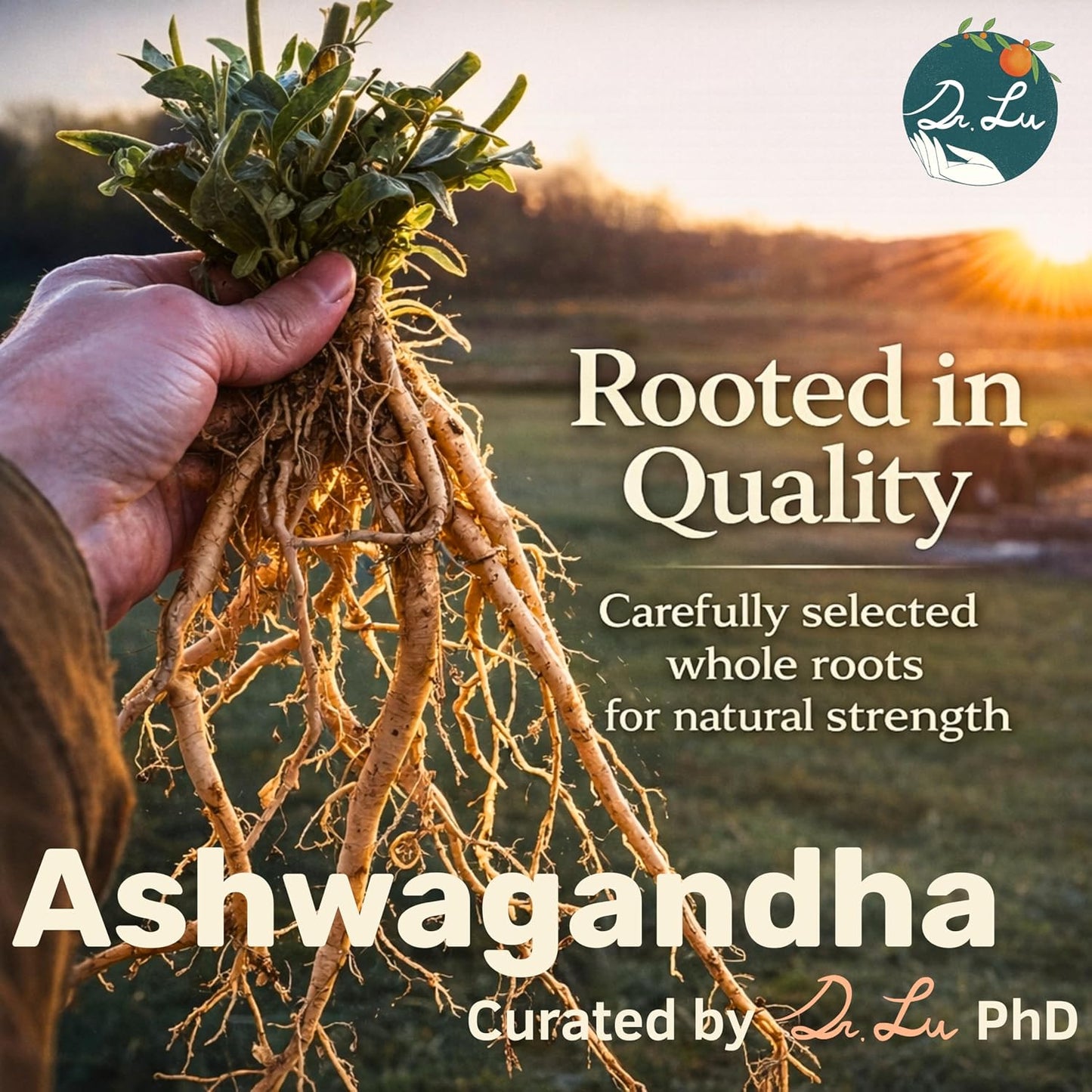 Dr. Lu’s Organic Ashwagandha Tea | Wild-Harvested in India’s Ayurvedic Regions | 100% Natural Calm &amp; Stress Support | 30 x 3g Full Strength Corn Fiber Pyramid Bags (No Plastic, No Nylon)