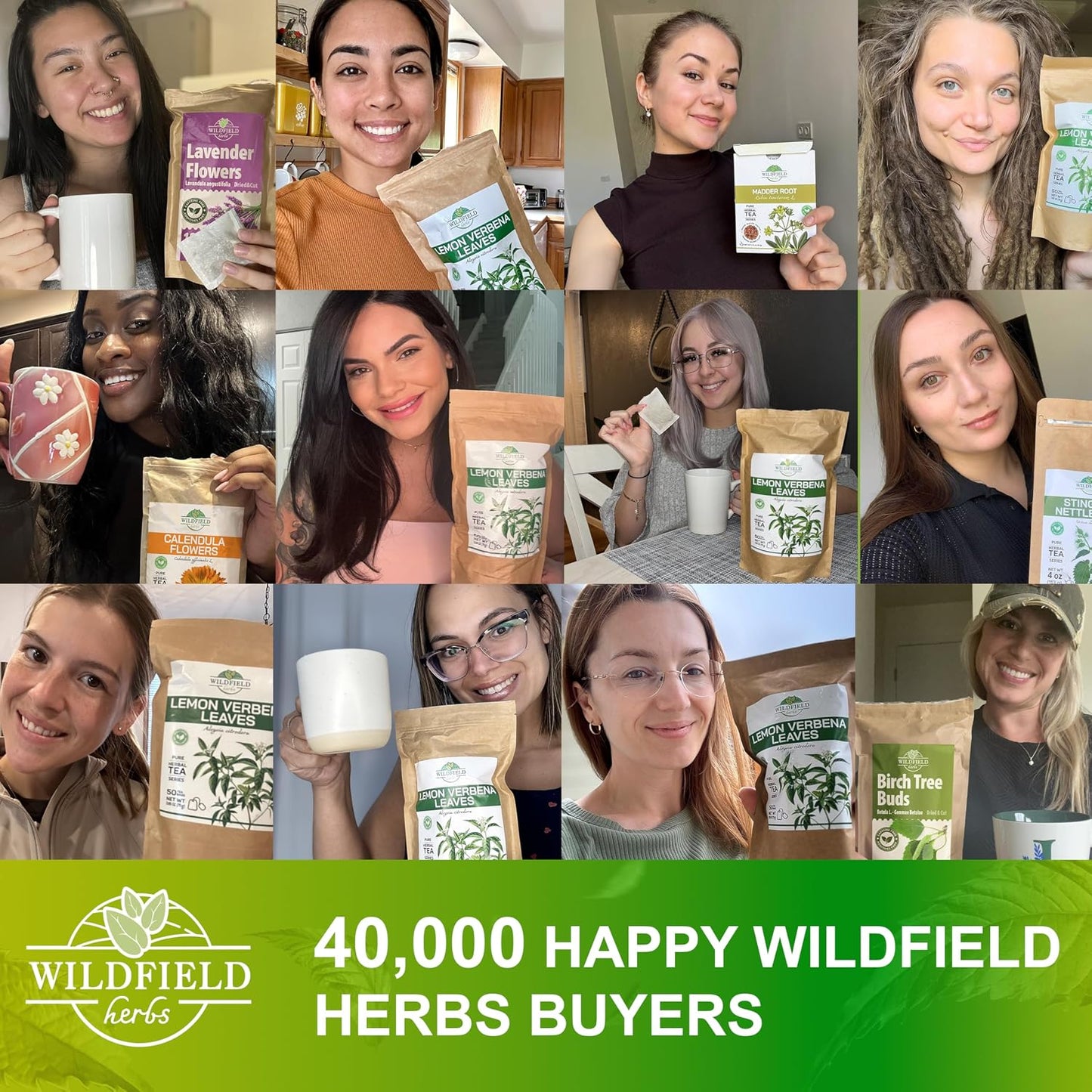 40 Bags Dried Horsetail Herb Tea Shavegrass Cola De Caballo Hierba (Equisetum Arvense) - 40 Count 1.5 g Tea Bags Horsetail Leaf Leaves Herb