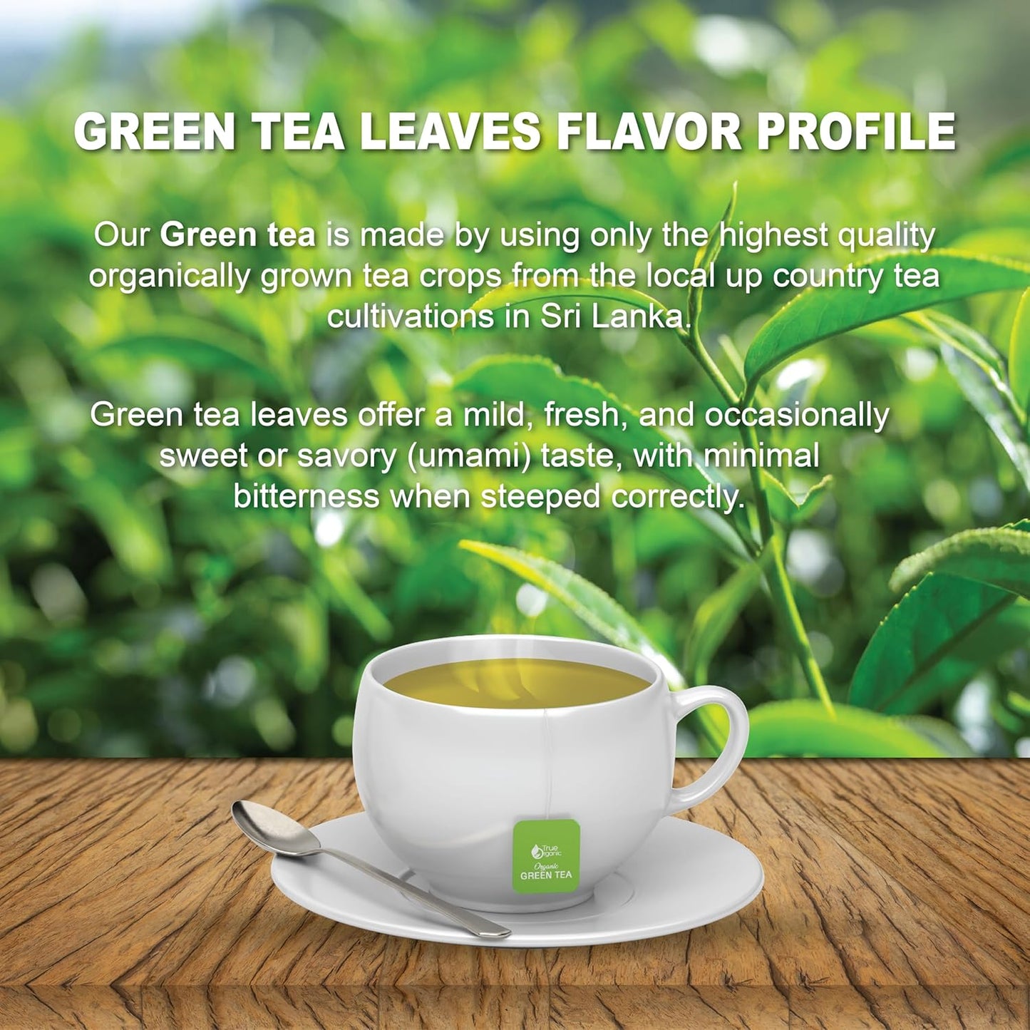 True Organic Premium Ceylon Green Tea |100 Count Tea Bags | USDA Organic & Kosher Certified |100 Envelop Organic Green Tea for Your Home & Cafe.