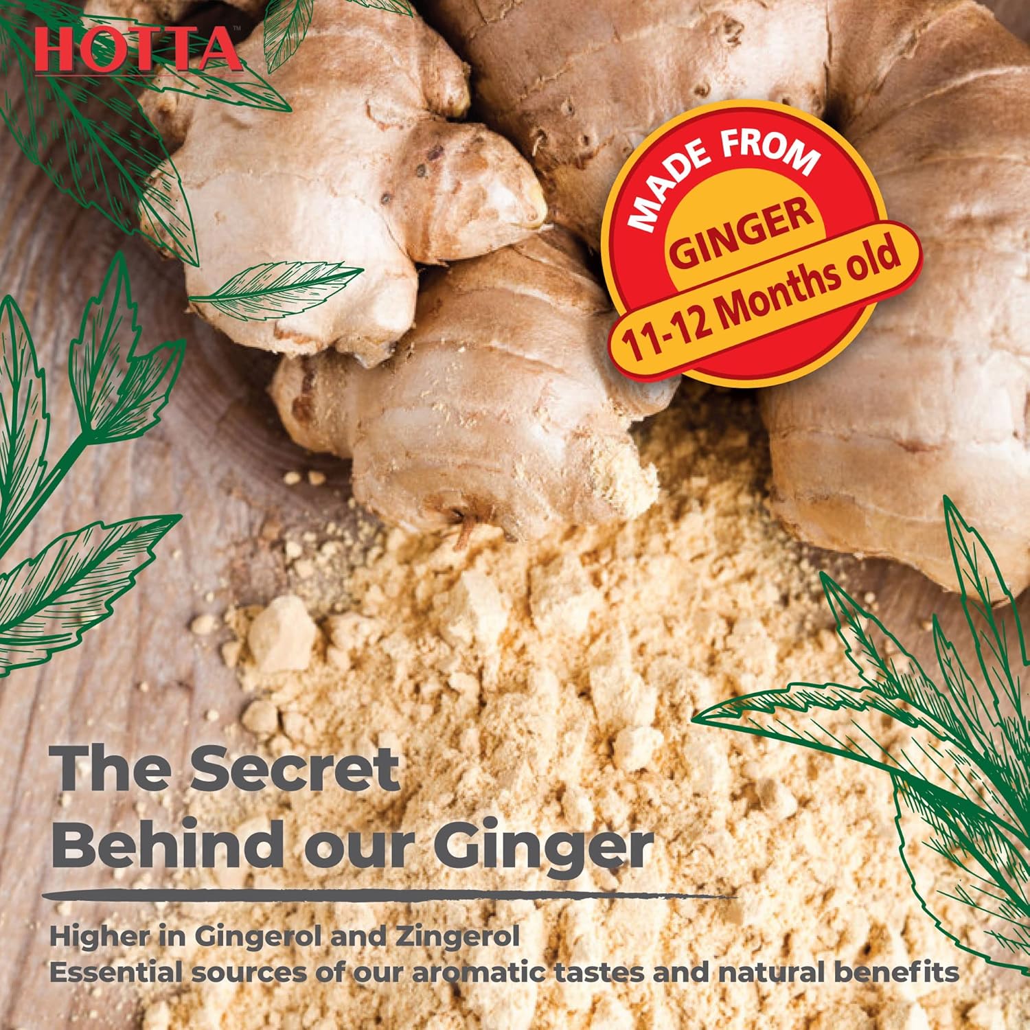 HOTTA Instant Ginger Drink with Manuka Honey, Naturally Sweet, Caffeine-Free Herbal Tea, High in Vitamin B1, B2 & B6, Smooth & Comforting, Enjoy Hot or Cold, 12 Sachets