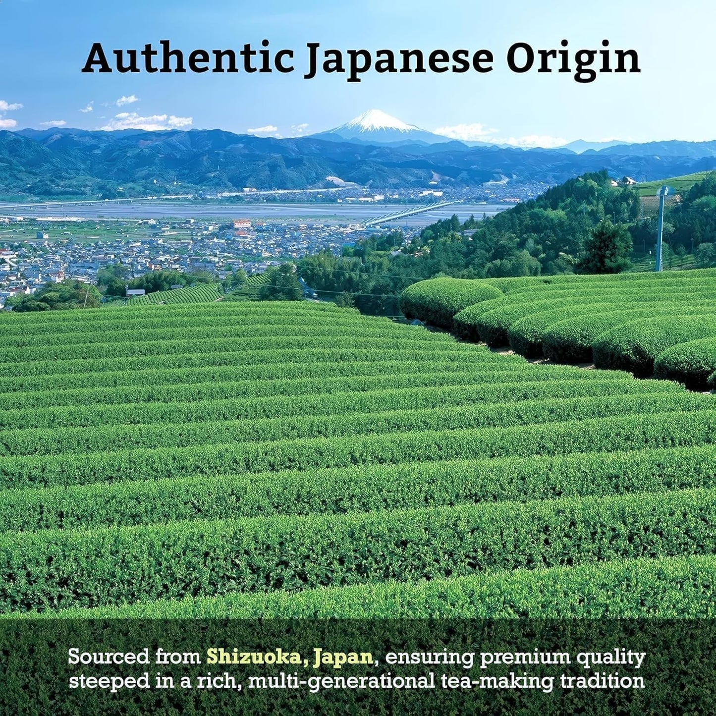 SUGIMOTO TEA Matcha Ceremonial Grade Japanese Matcha Powder "KOCHI" 1.05 oz