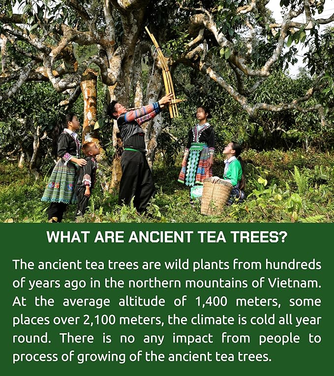 VIXI Oolong Tea Bags, 150 Counts, Vietnam's Mountain Tea, Caffeinated, Bold and Balanced Flavored, Sugar Free, Tagless, 100% Natural, Oolong Tee for Hot and Cold Brew