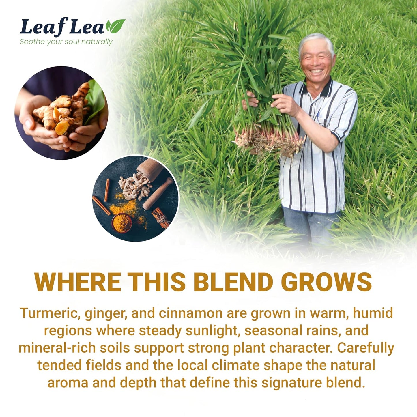 LeafLea Turmeric Tea with Ginger &amp; Cinnamon, 160 Ct Caffeine-Free, 4 Boxes | Individually Foil-Wrapped Sachets, 160-Bag Family Supply, Turmeric Ginger Cinnamon Herbal Blend, No Sugar, Vegan, Gluten-Free