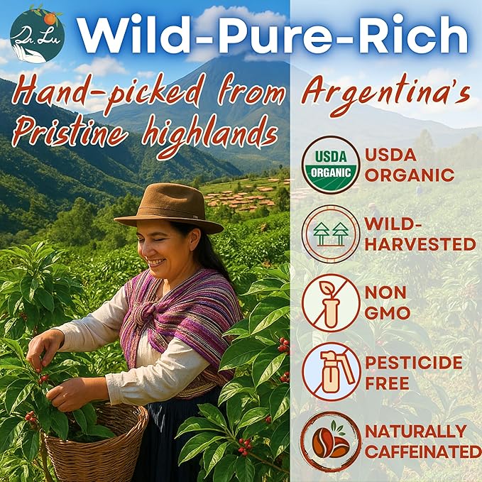 Dr. Lu’s Organic Yerba Mate Tea (Unsmoked) | High-Altitude Grown in Argentina | Naturally Caffeinated Clean Energy & Focus | 30 x 3g Vitality Brew Corn Fiber Pyramid Bags (No Plastic, No Nylon)