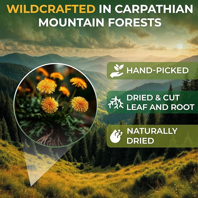 100 Bags Dandelion Leaf Root Tea Dandelion Tea Herbal (Taraxacum) - 100 Count 1.5g Bags Herbhojas Y Raíz De Diente De León