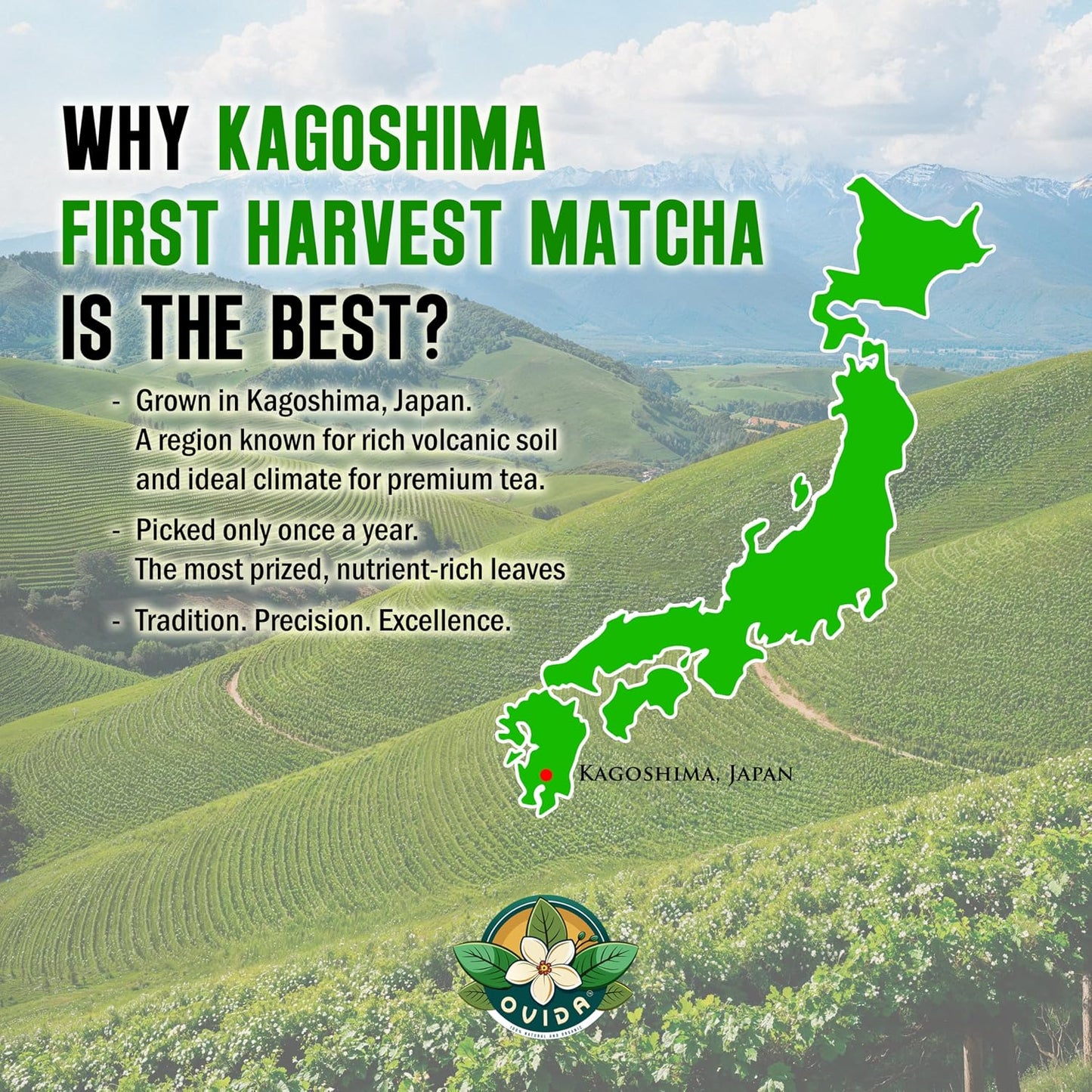 Premium Kimikura Kagoshima Matcha from Japan – Ceremonial Grade, USDA Organic, First Harvest Japanese Green Tea Powder, Stone Ground, Perfect for Starbucks Latte, Shake &amp; Baking (127g / 4.5 oz)