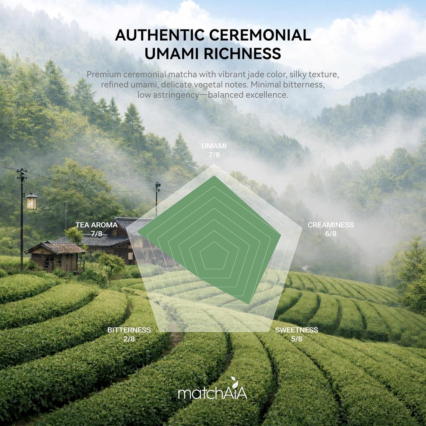 MatchAiA Organic Matcha Powder, Premium Ceremonial Grade, 60g/2.1oz Tin | 100% pure green tea matcha, first spring harvest, certified organic, sugar free, gluten free, vegan, tea ceremonies &amp; lattes