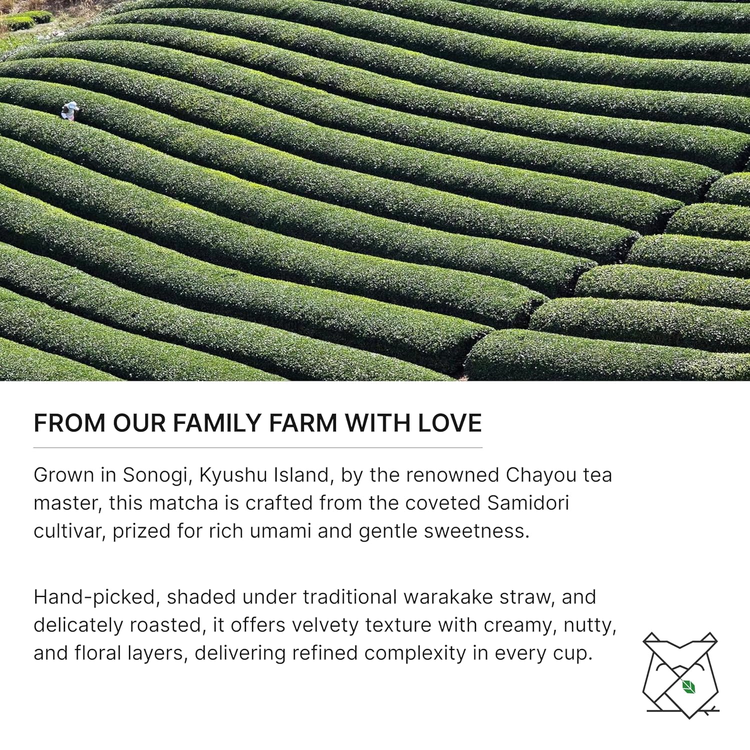 FKRO Ceremonial Reserve Matcha Samidori | 1st Harvest, Stone-Ground, Single Origin, Single Cultivar | Flown Fresh Monthly from Japan (30g/1.06oz) Tin