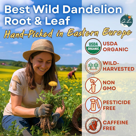 Dr. Lu’s Organic Dandelion Root &amp; Leaf Tea | Wild-Harvested in Eastern Europe | 100% Natural Liver &amp; Detox Support | 30 x 3g High-Intensity Brew Corn Fiber Pyramid Bags (No Plastic, No Nylon)