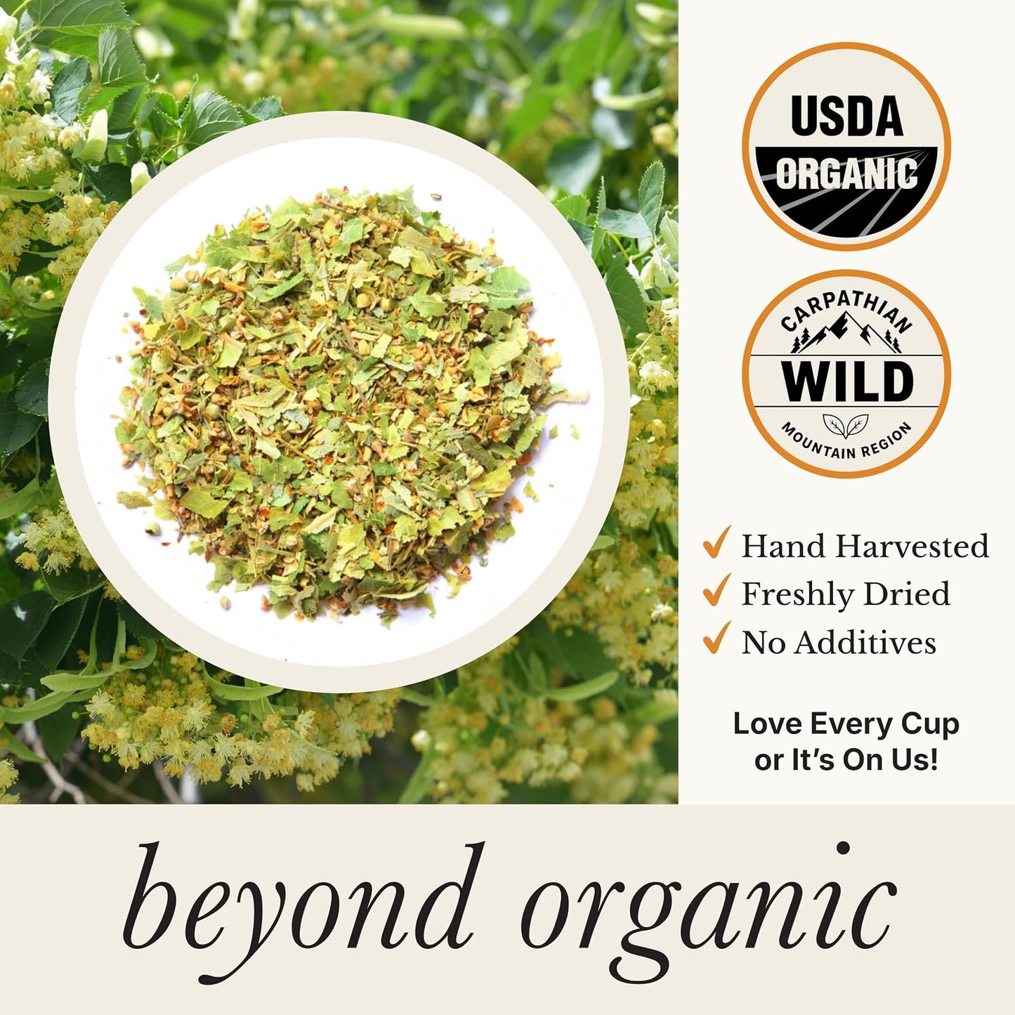 Wild Bliss Organic Linden Flower Tea - Caffeine Free Loose Leaf Calming Herbal Tea - 2.82 Ounces - 40 Servings