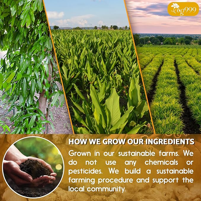 TOG999, 15 Turmeric, Ginger, Cinnamon Tea Bags, 100% Natural, Hand-made Blend of Turmeric, Ginger, and Cinnamon. Eco-conscious Tea Bags. No Sugar, No Caffeine, No Gluten, Vegan.