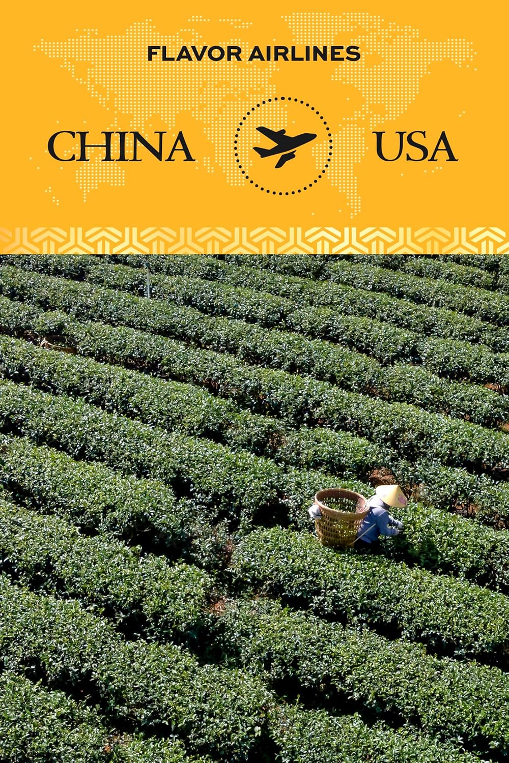 TeaRove Tie Guan Yin Oolong Tea Loose Leaf, Medium Caffeinated, 16oz/456g, Premium Chinese Oolong Tea Whole Leaves, Enjoy Hot or Iced, Orchid Bloom & Woody Hint, Clean Aftertaste