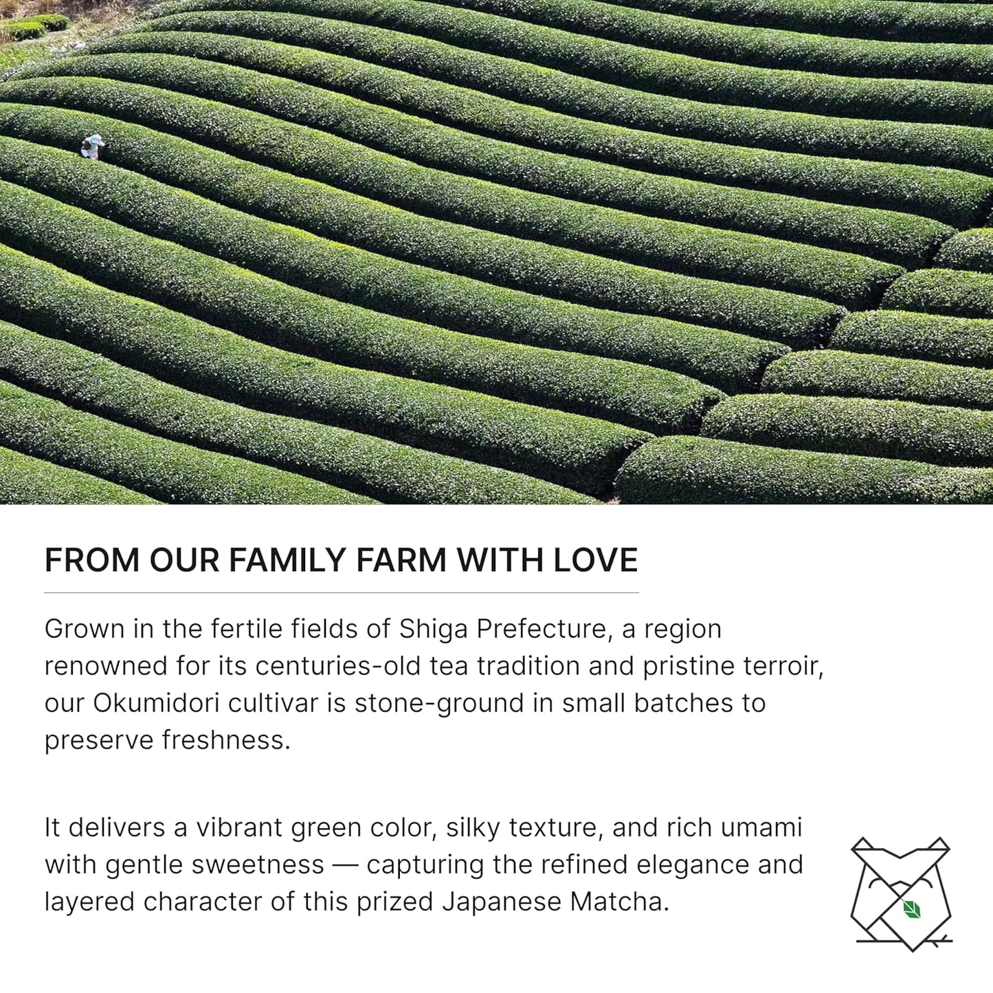 FKRO Ceremonial Reserve Matcha Tsuchiyama | 1st Harvest, Stone-Ground, Single Cultivar, Single Origin | Flown Fresh Monthly from Japan (30g/1.06oz) Tin