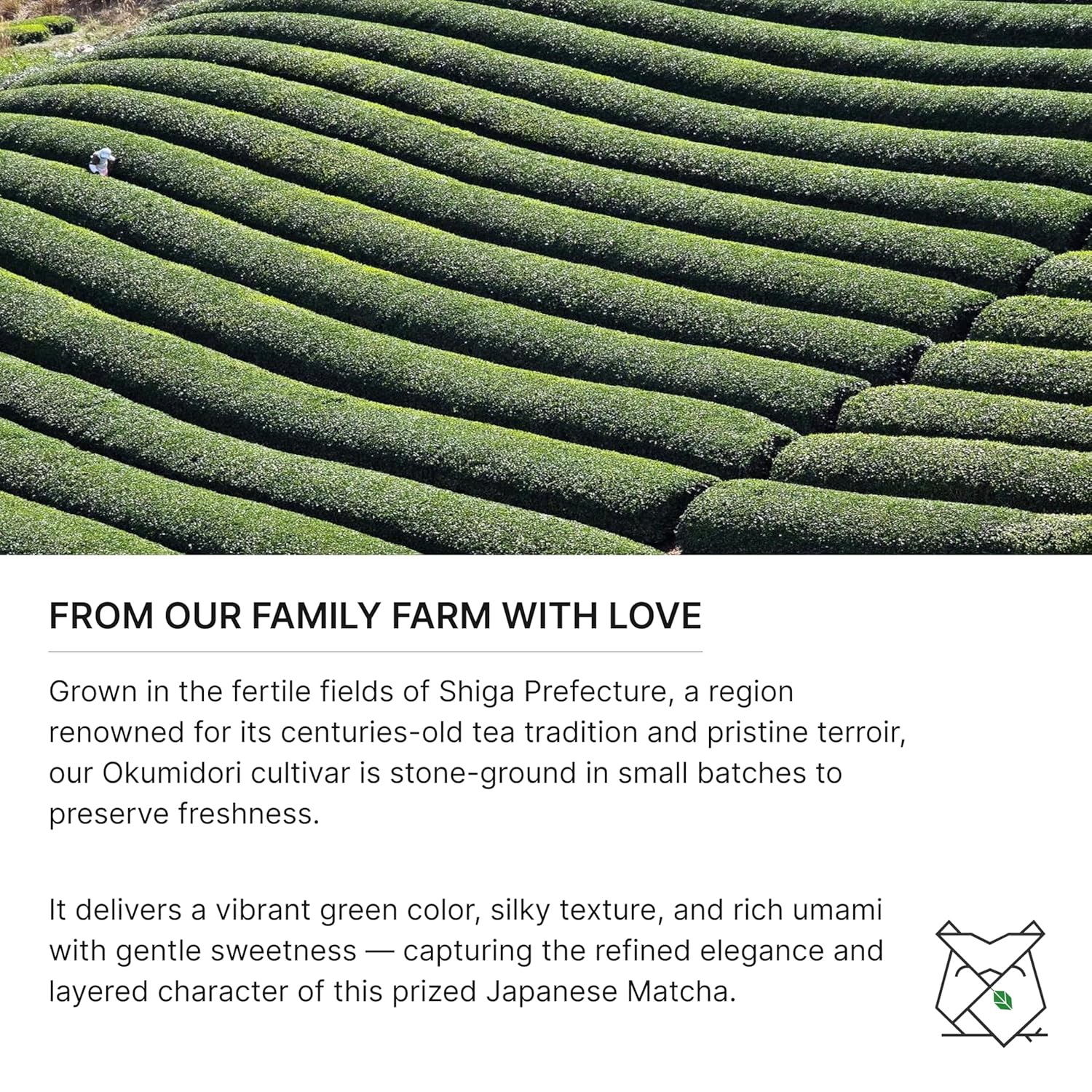 FKRO Ceremonial Reserve Matcha Tsuchiyama | 1st Harvest, Stone-Ground, Single Cultivar, Single Origin | Flown Fresh Monthly from Japan (30g/1.06oz) Tin