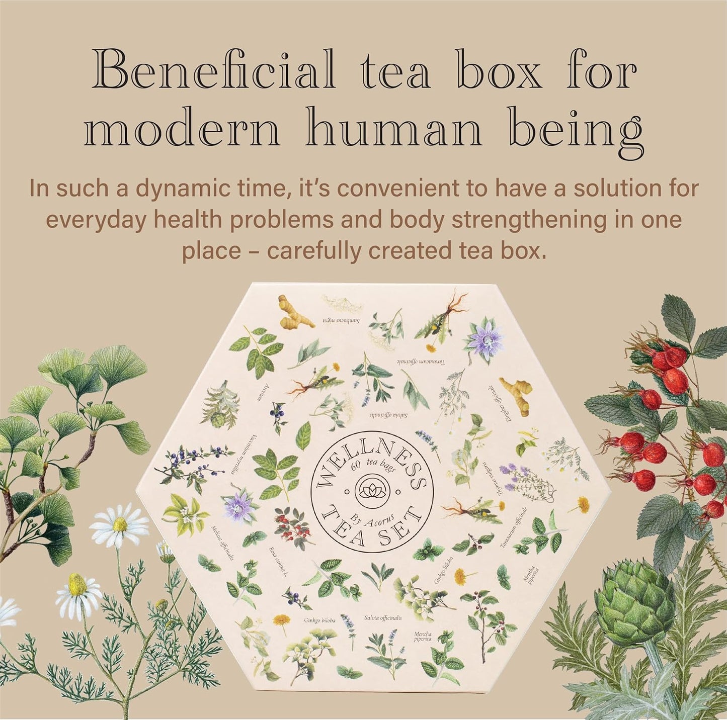 ACORUS Wellness Tea Set – Natural Herbal Tea Variety Pack, Gift Set of 6 Different Teas, 60 Bags Individually Wrapped, H