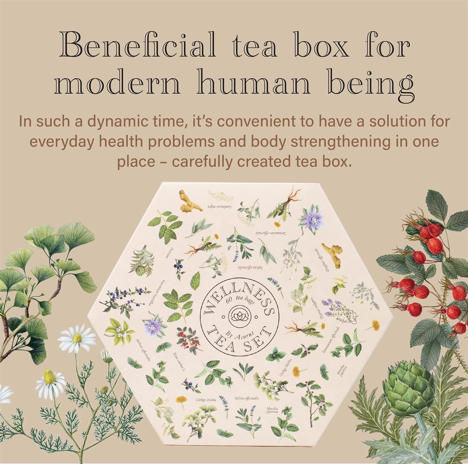 ACORUS Wellness Tea Set – Natural Herbal Tea Variety Pack, Gift Set of 6 Different Teas, 60 Bags Individually Wrapped, H