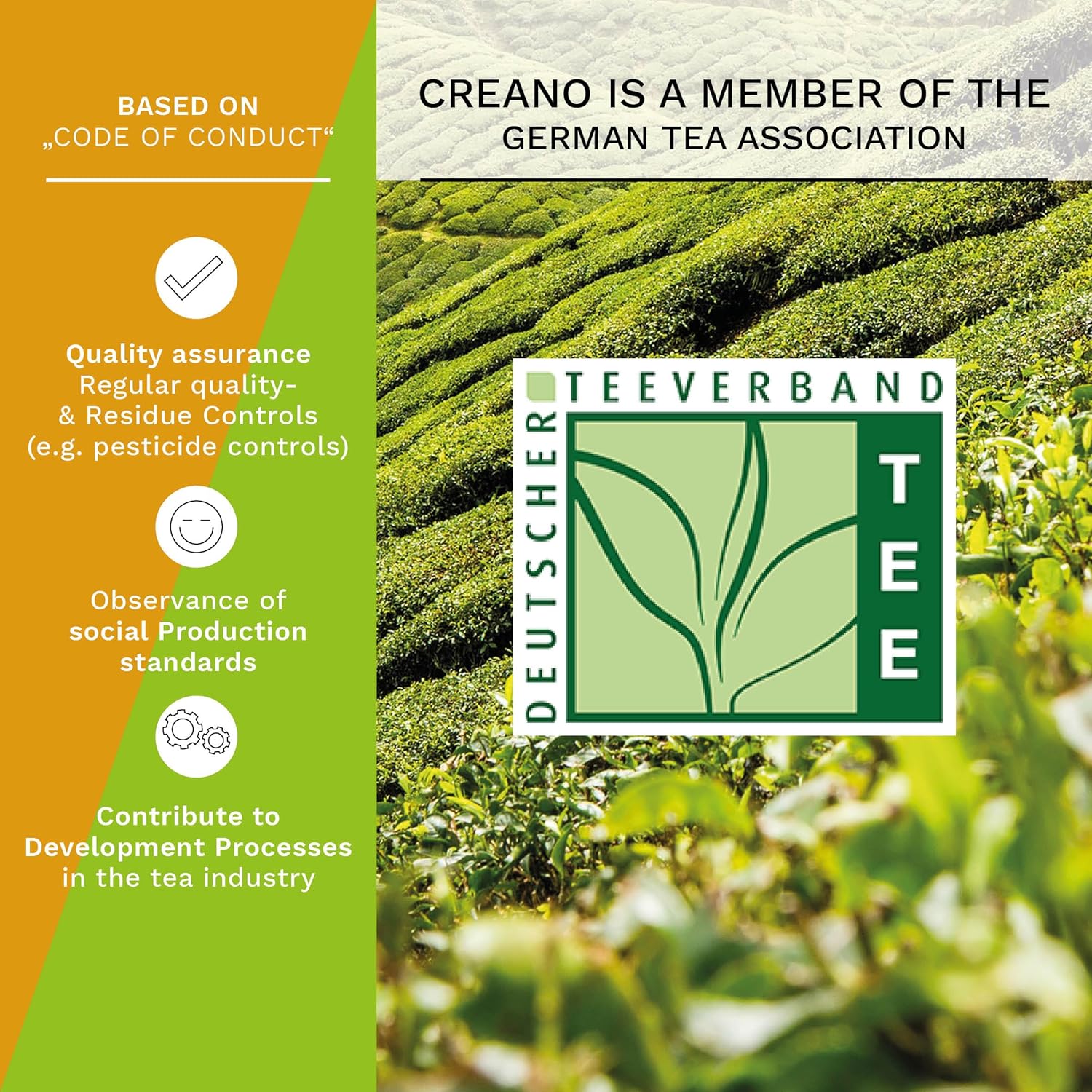 Creano 4 tea Flowers in elegant Gift Box - Blooming Tea White & Green Tea in Cup Size