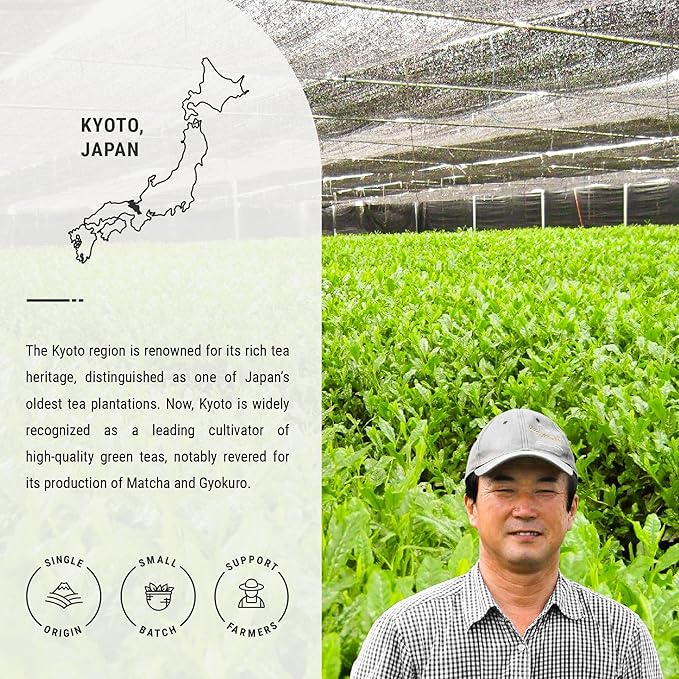 Senbird Premium Gyokuro, Japanese Shade Grown Green Tea - From Kyoto Japan - Imperial Loose Leaf Green Tea In Airtight Tea Tin (1.76oz/50g)