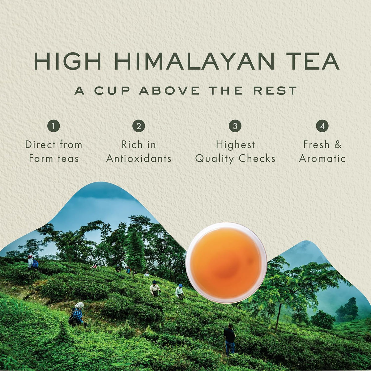 Makaibari Darjeeling Black Tea, Organic Loose Leaf Bulk Pack, 250g (8.81oz, ~125 Cups) | USDA Organic Single-Estate Black Tea from World's First Certified Organic Tea Garden - Biodynamic, Caffeinated, Champagne of Teas