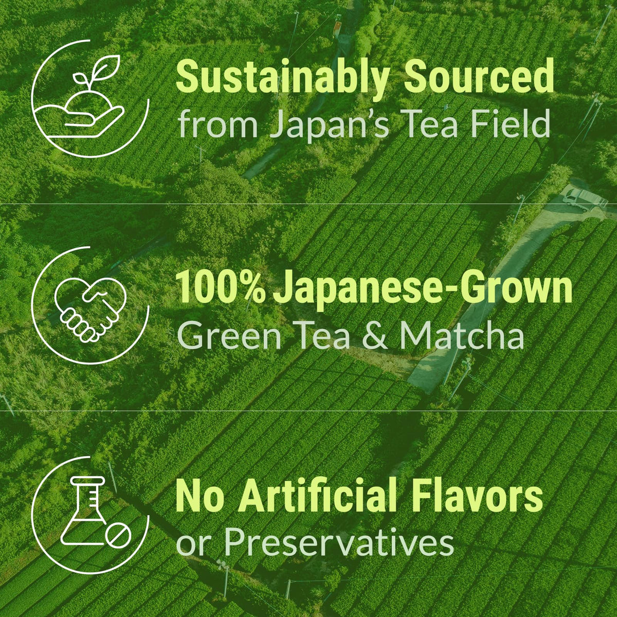NAKANE TEA INC. Organic Matcha Blended Japanese Green Tea Bags, 100 Count – Grown in Japan, USDA Organic