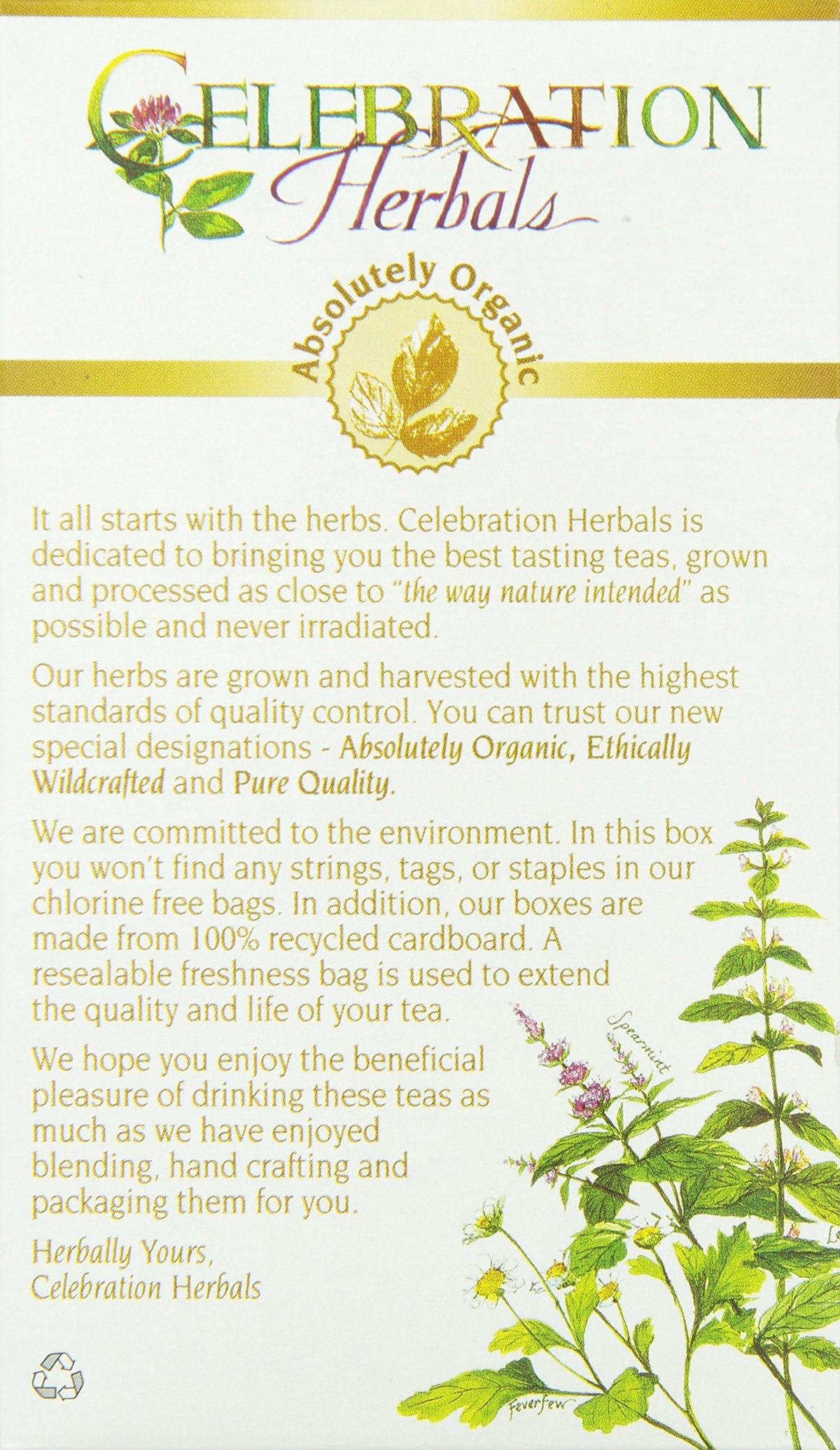 Celebration Herbals Organic Mullein Leaf Tea Bags 24 Count