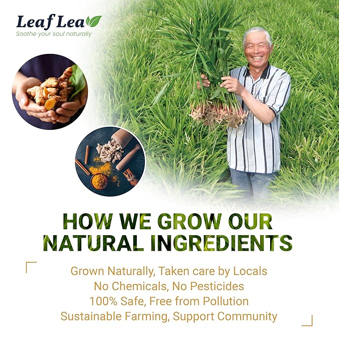 LeafLea Turmeric Tea with Ginger and Cinnamon, 80 Premium Turmeric Ginger Tea Bags, Supports Immune Health & Digestion, 100% Natural & Pure Blend Herbal Tea, Caffeine-Free, No Sugar, Vegan