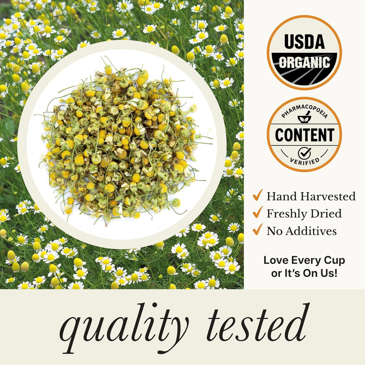 Wild Bliss Organic Chamomile Tea - Caffeine Free Calming Herbal Support - Pharmacopoeia Potency - 20 Plant Based Tea Bags