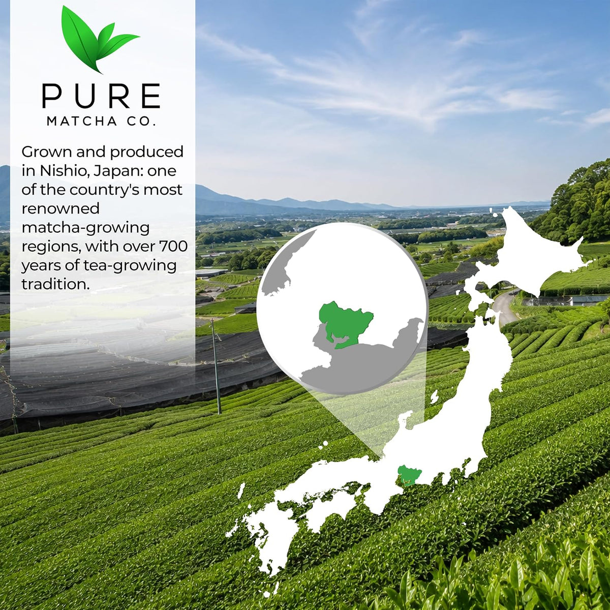 Pure Matcha Co | Premium Ceremonial Grade Matcha Green Tea Powder | Authentic Japanese Origin | Sugar Free | 30g, 1.06oz