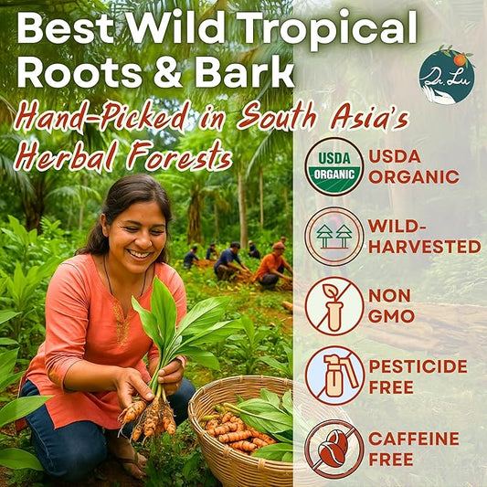 Dr. Lu’s Organic Turmeric Ginger Cinnamon Tea | Tropical Wild Roots & Bark from South Asia | 100% Natural Digestive & Warming Support | 30 x 3g Potent Root Blend Corn Fiber Pyramid Bags (No Plastic, No Nylon)