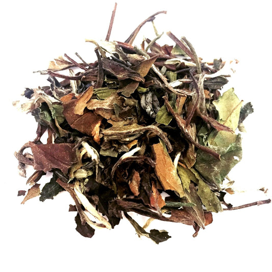 Nelson's Tea - Simply White - Loose Leaf White Tea - Tea Loose Leaf - Lightly Caffeinated - Premium Peony Tea Leaves - 1.1 oz.