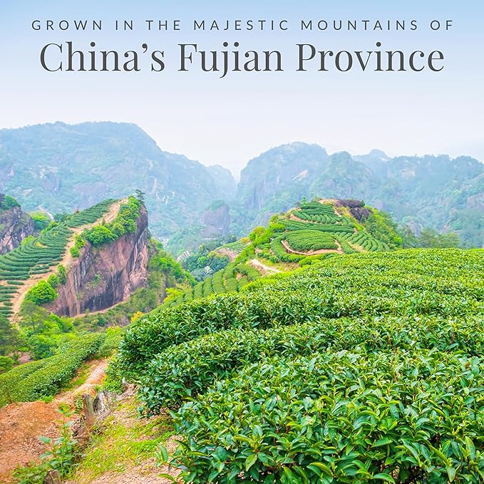 The Republic of Tea – Asian Jasmine 100% White Tea Bags, Steeps 50 Low-Caffeinated Cups