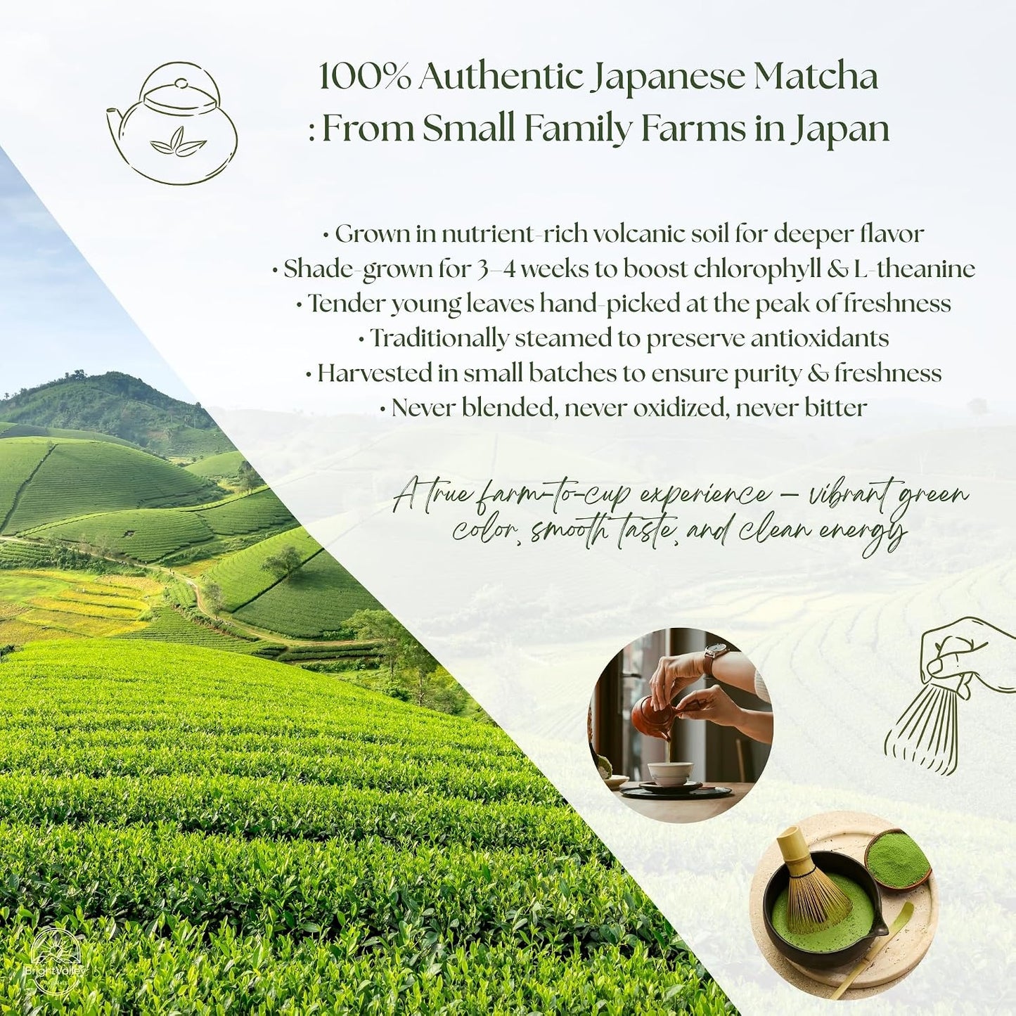 Culinary Premium Grade Matcha Powder – 100% Japanese Matcha, Green Tea Powder for Lattes, Baking &amp; Smoothies, Smooth Flavor, Antioxidants &amp; Clean Energy, Shade-Grown &amp; Stone-Ground – 2 oz