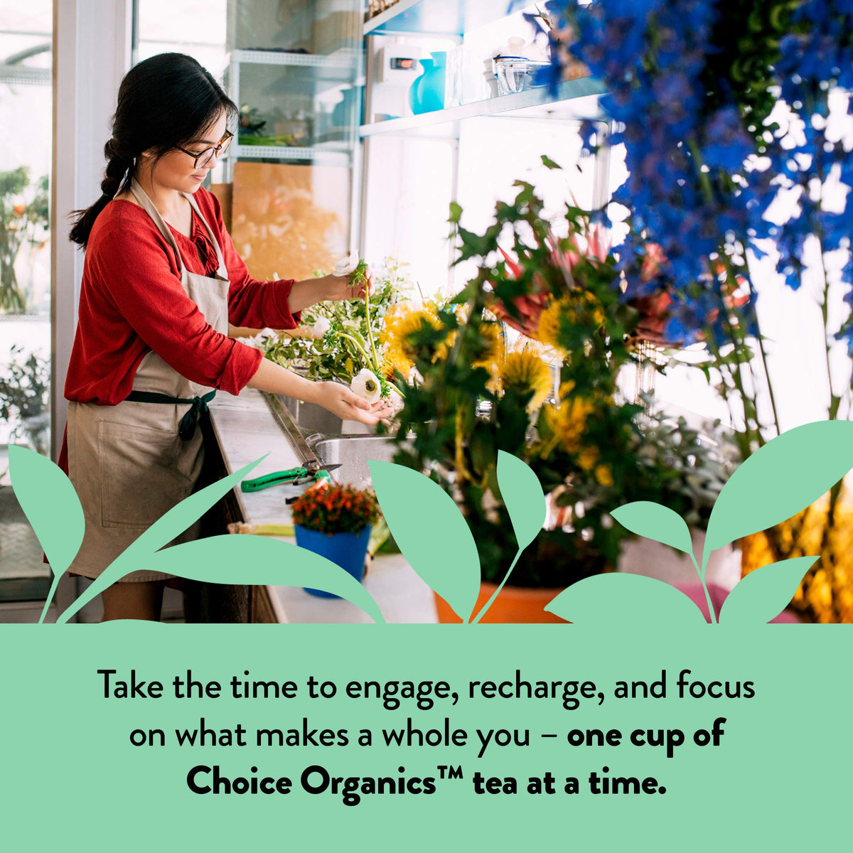 Choice Organic Teas Choice Organics Peppermint Tea, 16 Tea Bags (3 Pack)