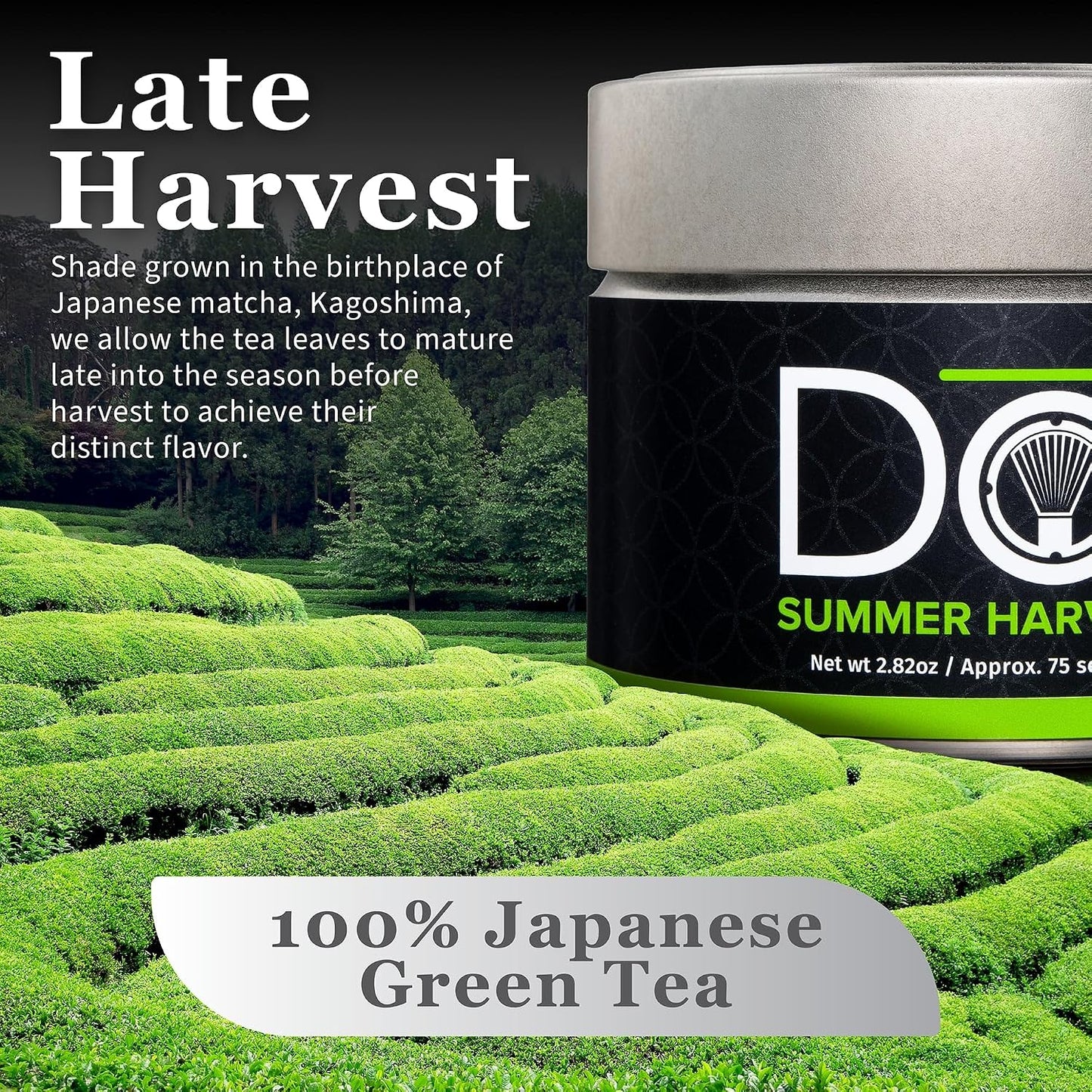 DoMatcha - Summer Harvest Green Tea Matcha Powder, Natural Source of Antioxidants, Caffeine, and L-Theanine, Promotes Focus and Relaxation, Kosher, 75 Servings (2.82 oz)