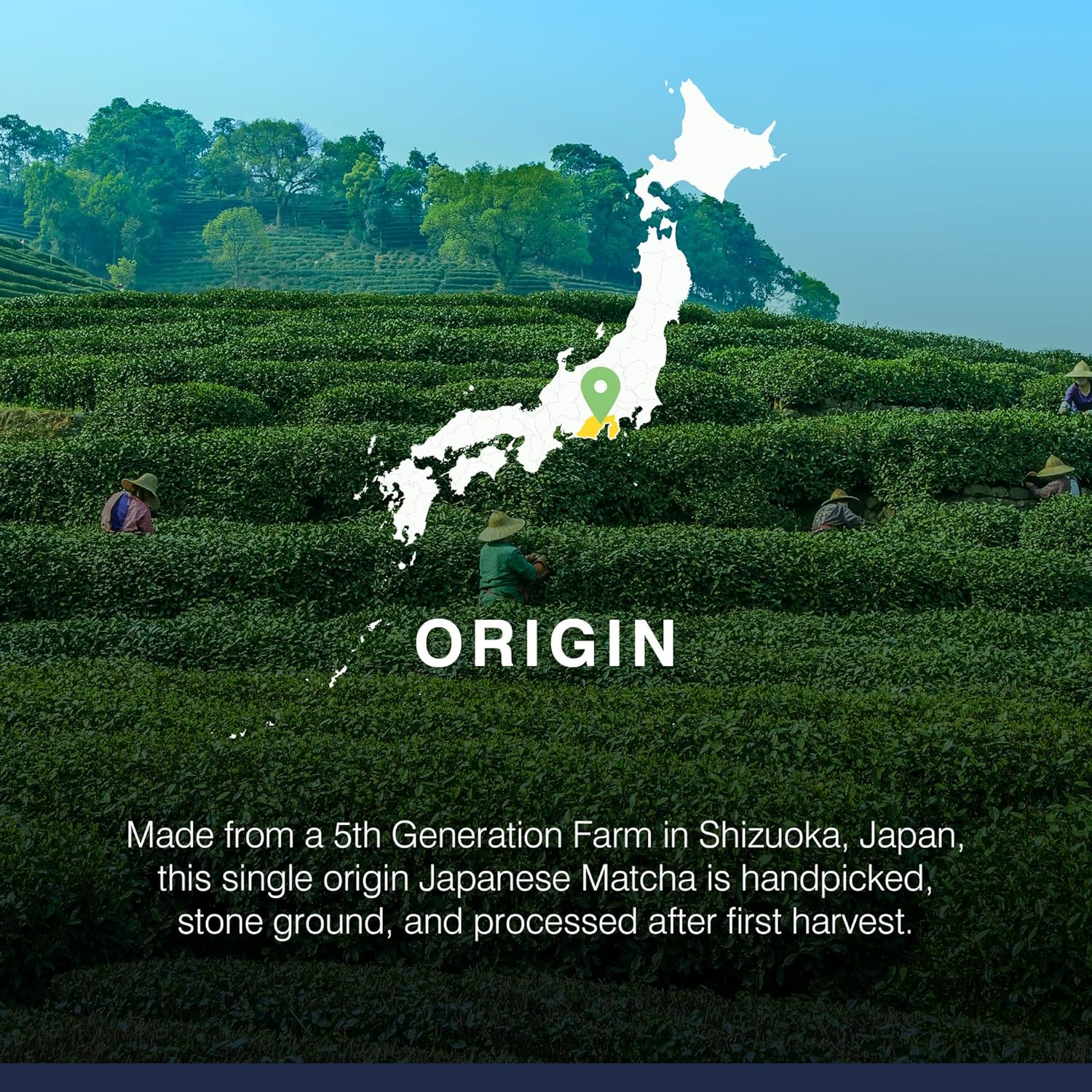Limited Release & Nitrogen Sealed -- Harvest Organic Japanese Matcha Green Tea Powder - Hand-Picked, 1st Harvest, Ceremonial Grade Matcha, Stone Ground | Single Origin 5th Generation Family Farm in Shizuoka, Japan