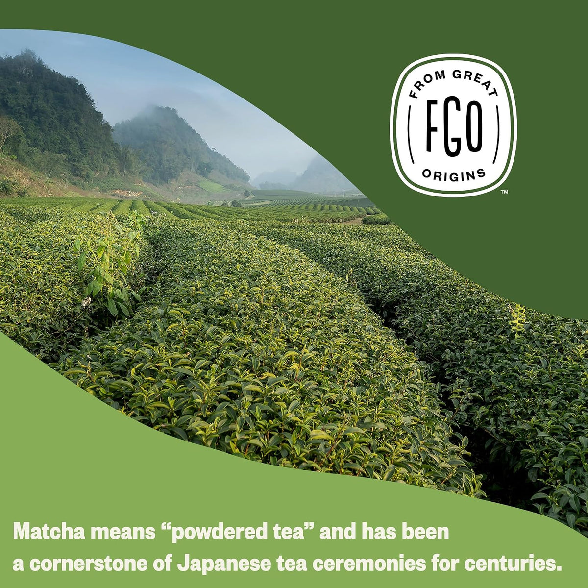 FGO Organic Matcha Green Tea Powder - Organic Matcha for Lattes, Smoothies &amp; Baking - USDA Organic &amp; Non-GMO - 4 oz Resealable Bag